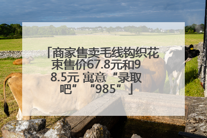 商家售卖毛线钩织花束售价67.8元和98.5元 寓意“录取吧”“985”